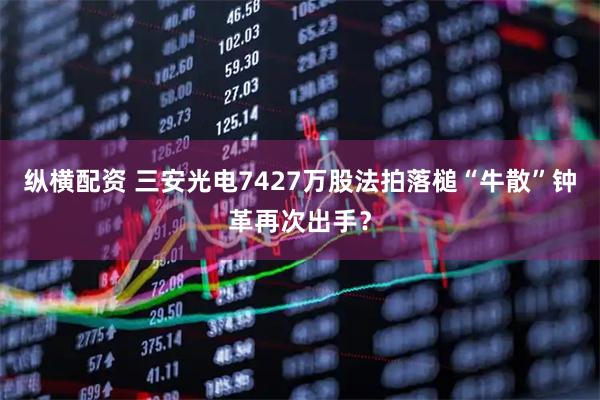 纵横配资 三安光电7427万股法拍落槌“牛散”钟革再次出手？