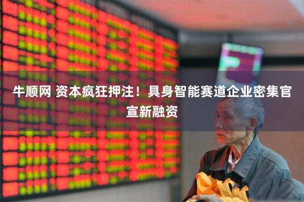 牛顺网 资本疯狂押注！具身智能赛道企业密集官宣新融资