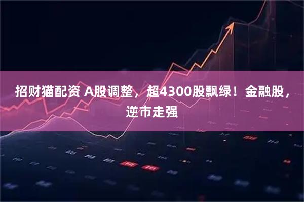 招财猫配资 A股调整，超4300股飘绿！金融股，逆市走强